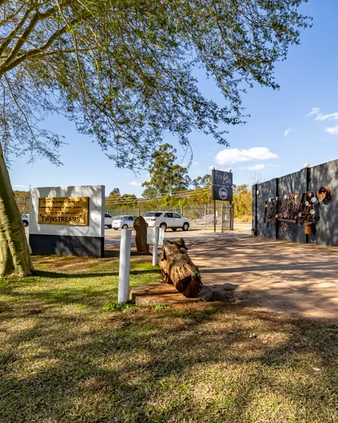 Twinstreams Collective