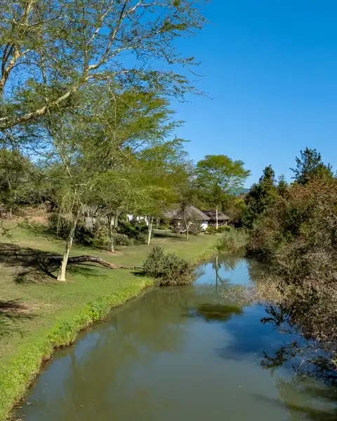 Twinstreams Collective