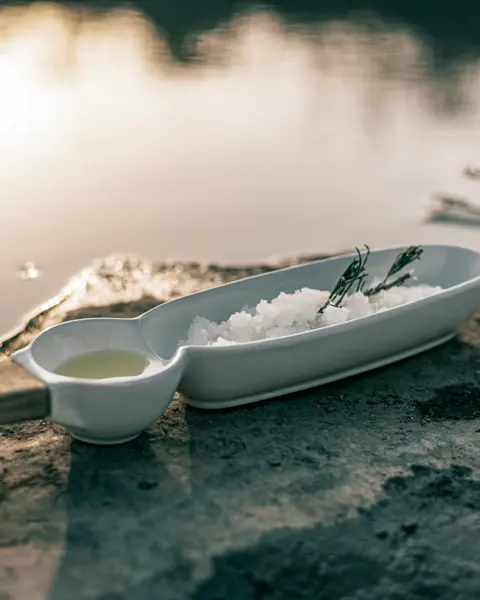 Solum Spa | Twinstreams Collective