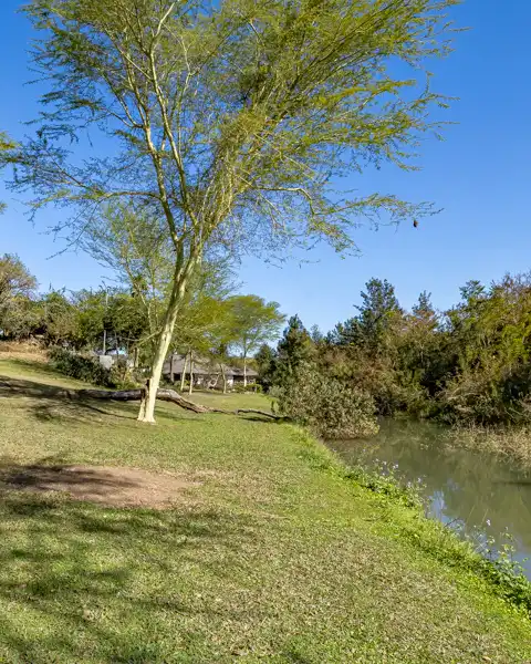 Twinstreams Collective